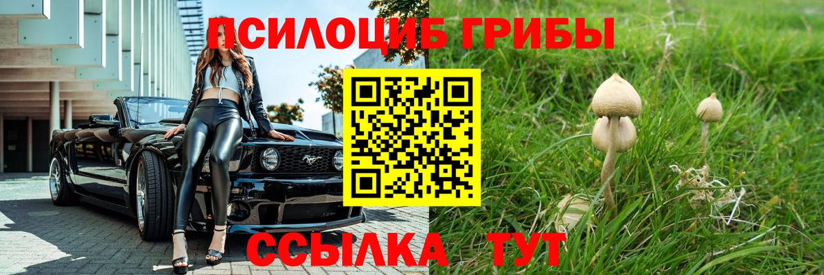 Строитель  Галлюциногенные грибы мицелий  Вход с VPN  Галлюциногенные грибы Magic Shrooms 